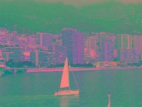 IMGP2810 edited (Medium)